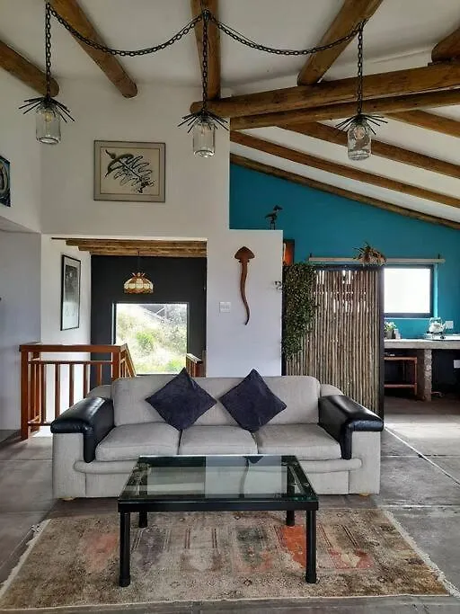 Quirky Bird Apartment Cape Town