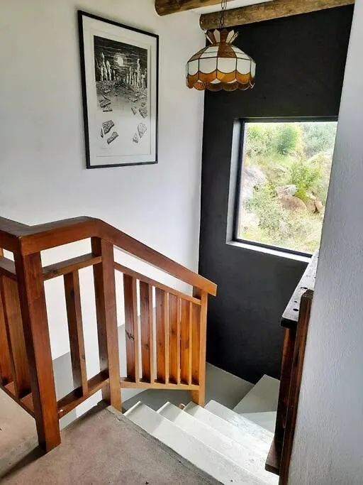 Quirky Bird Apartment Cape Town South Africa