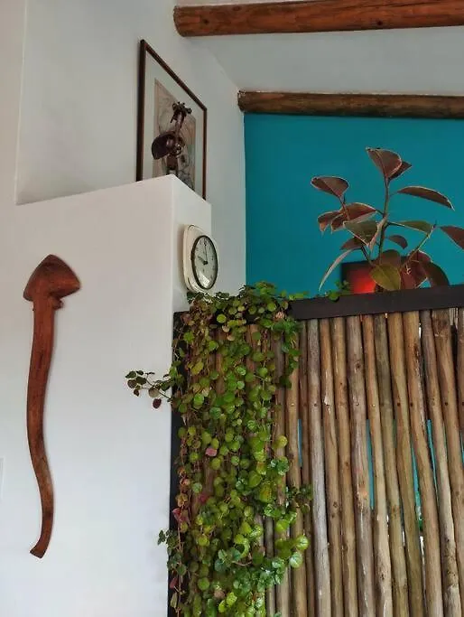 Quirky Bird Apartment Cape Town