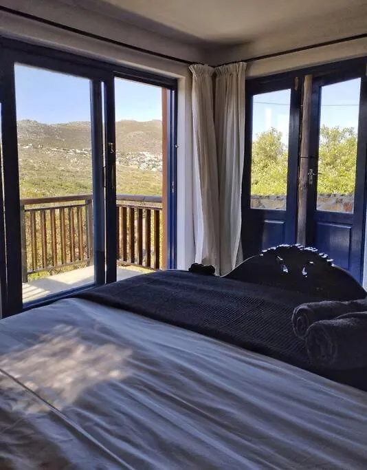 Quirky Bird Apartment Cape Town South Africa