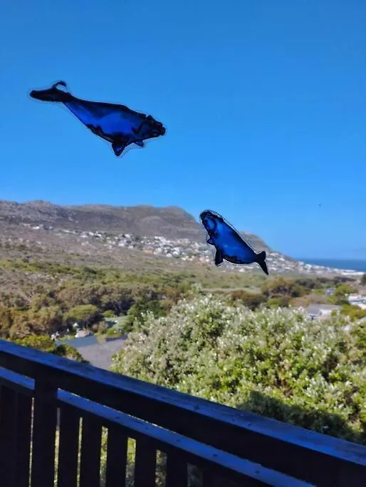 Quirky Bird Apartment Cape Town