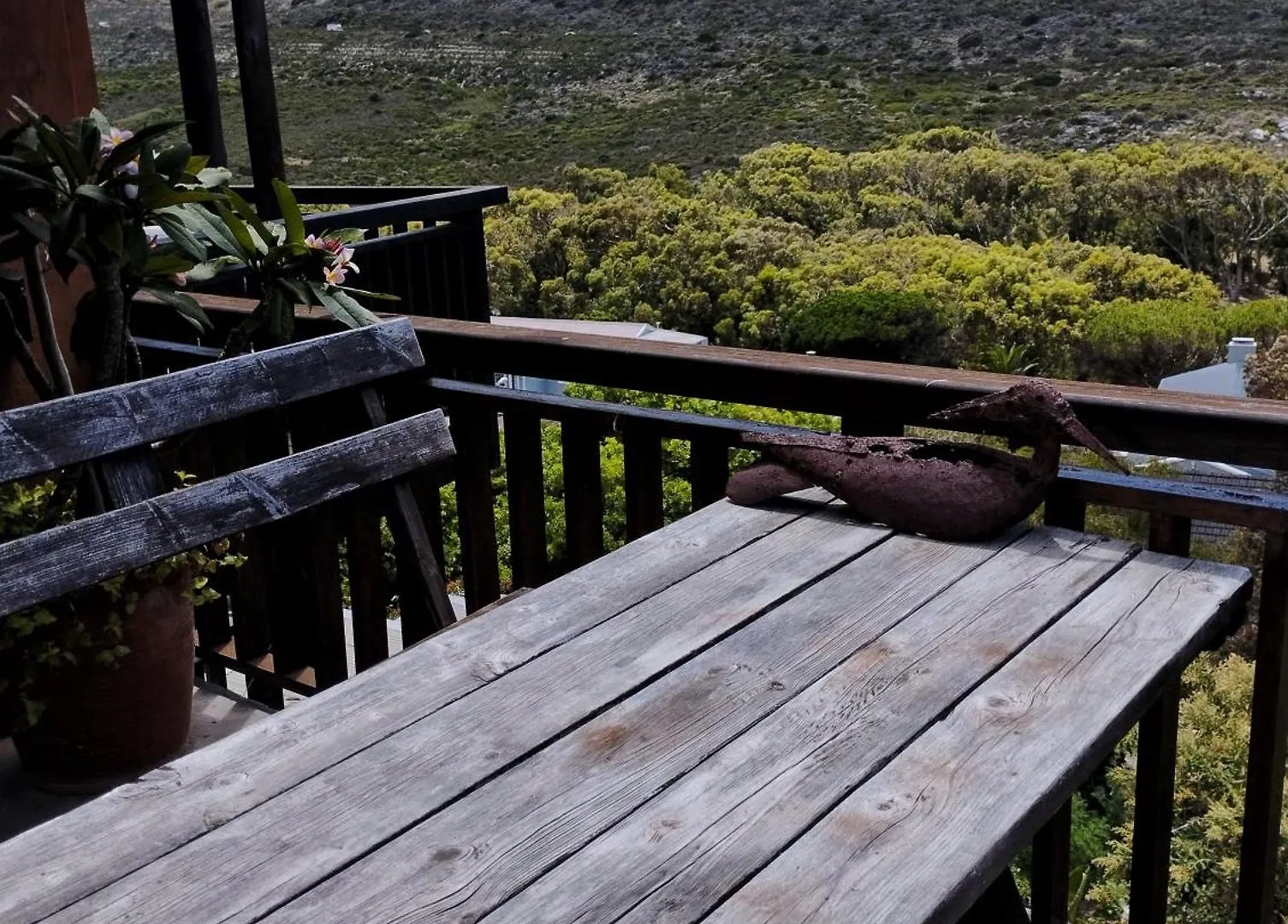 Quirky Bird Apartment Cape Town